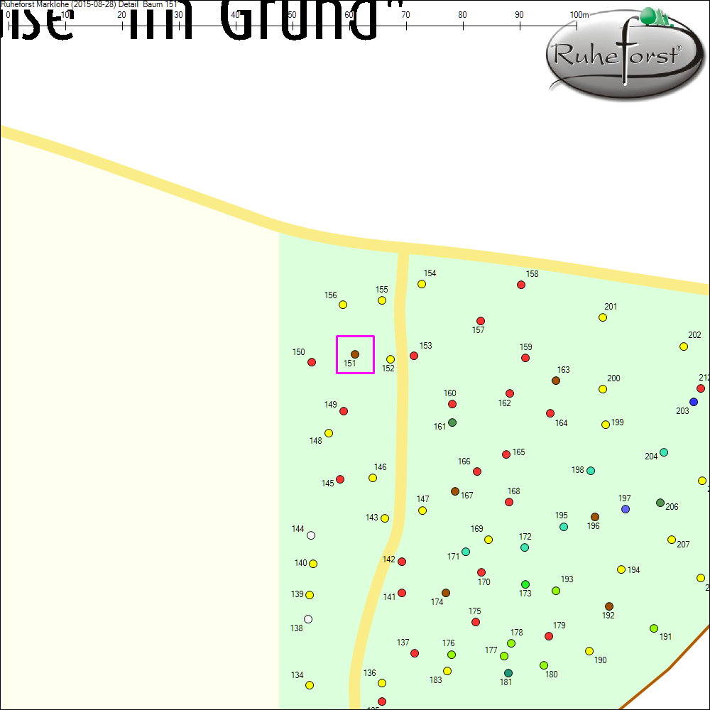 Detailkarte zu Baum 151